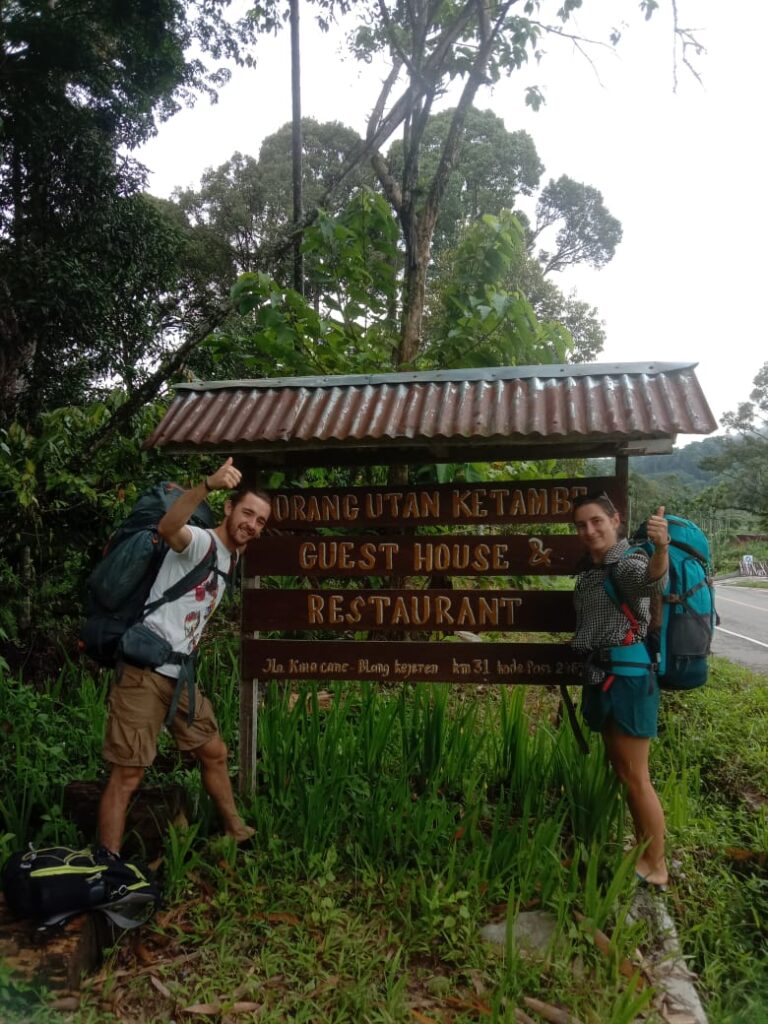 ketambe-guesthouse